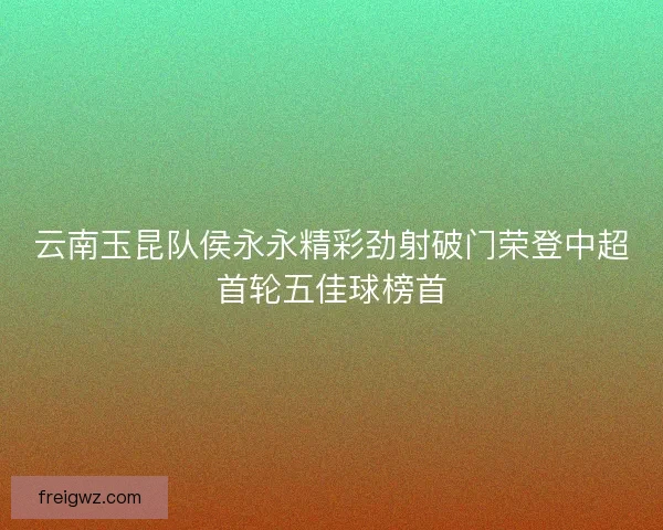 云南玉昆队侯永永精彩劲射破门荣登中超首轮五佳球榜首